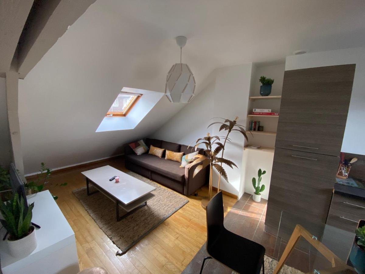 Appartement Hyper Centre Cathedrale Avec Parking Gratuit Amiens Exteriör bild